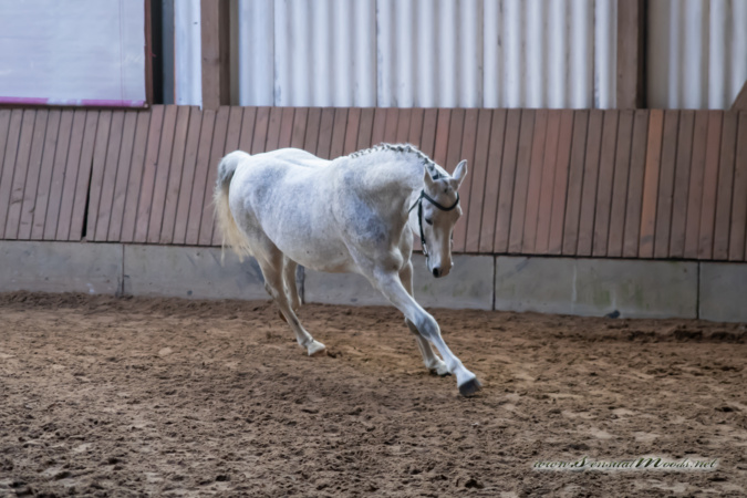 gk_20260308_0097-1_1800