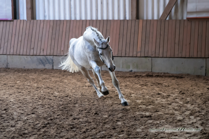 gk_20260308_0098-1_1800