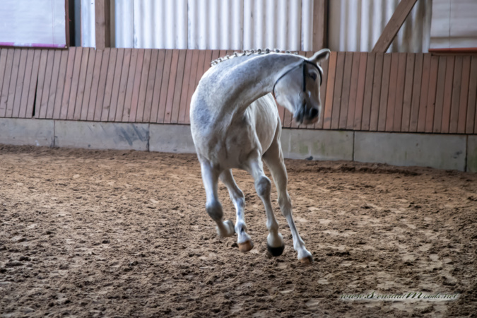 gk_20260308_0099-1_1800