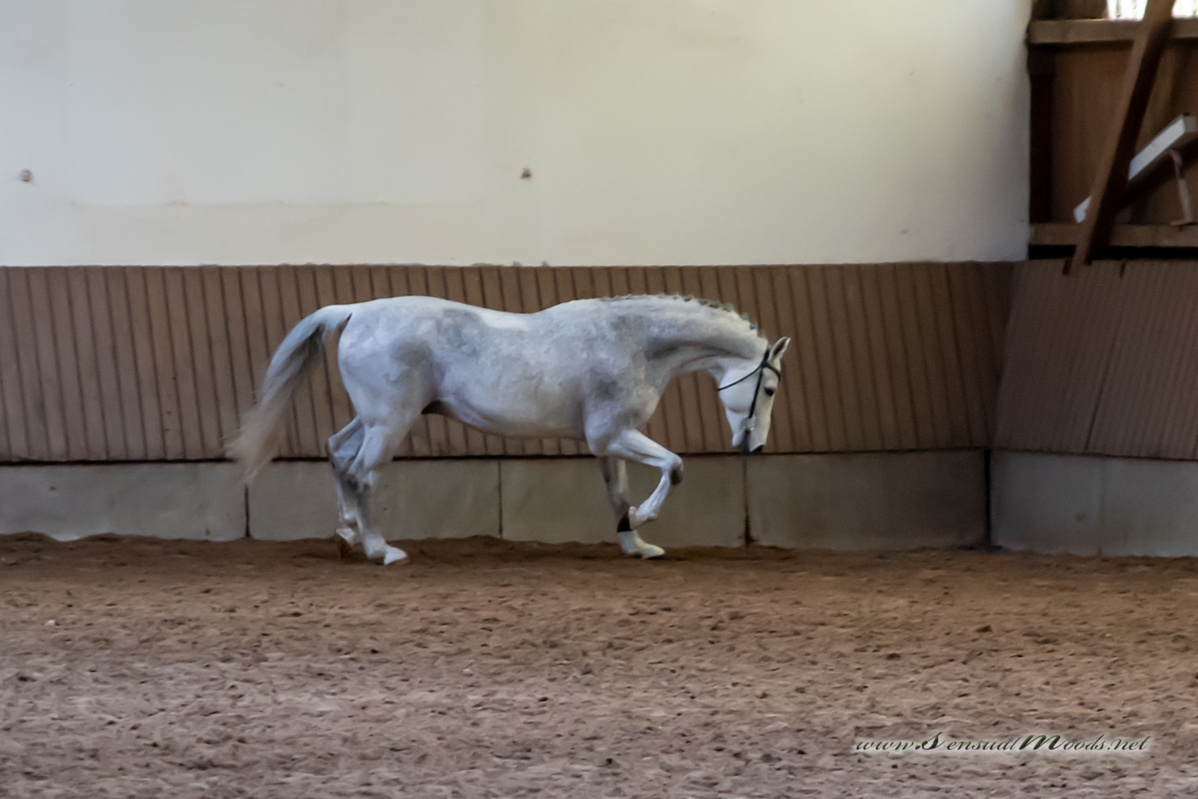 gk_20260308_0103-1_1800