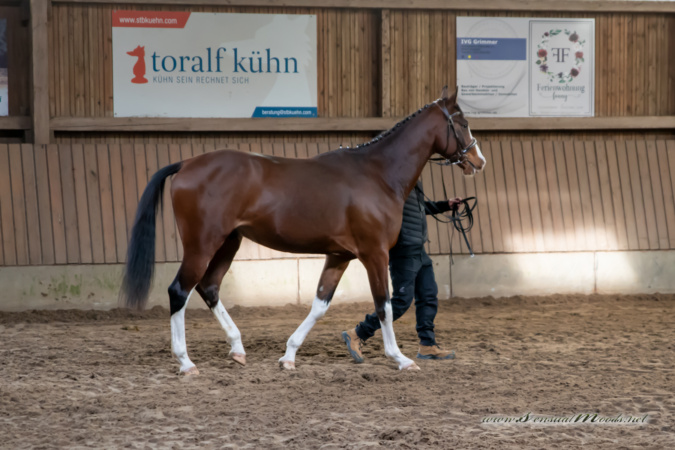 gk_20260308_0115-1_1800