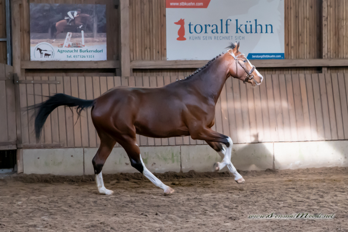 gk_20260308_0117-1_1800