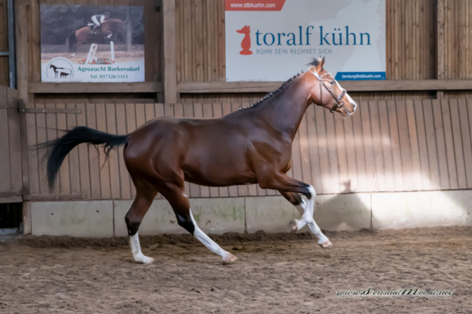 gk_20260308_0117-1_1800