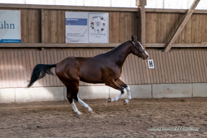 gk_20260308_0118-1_1800