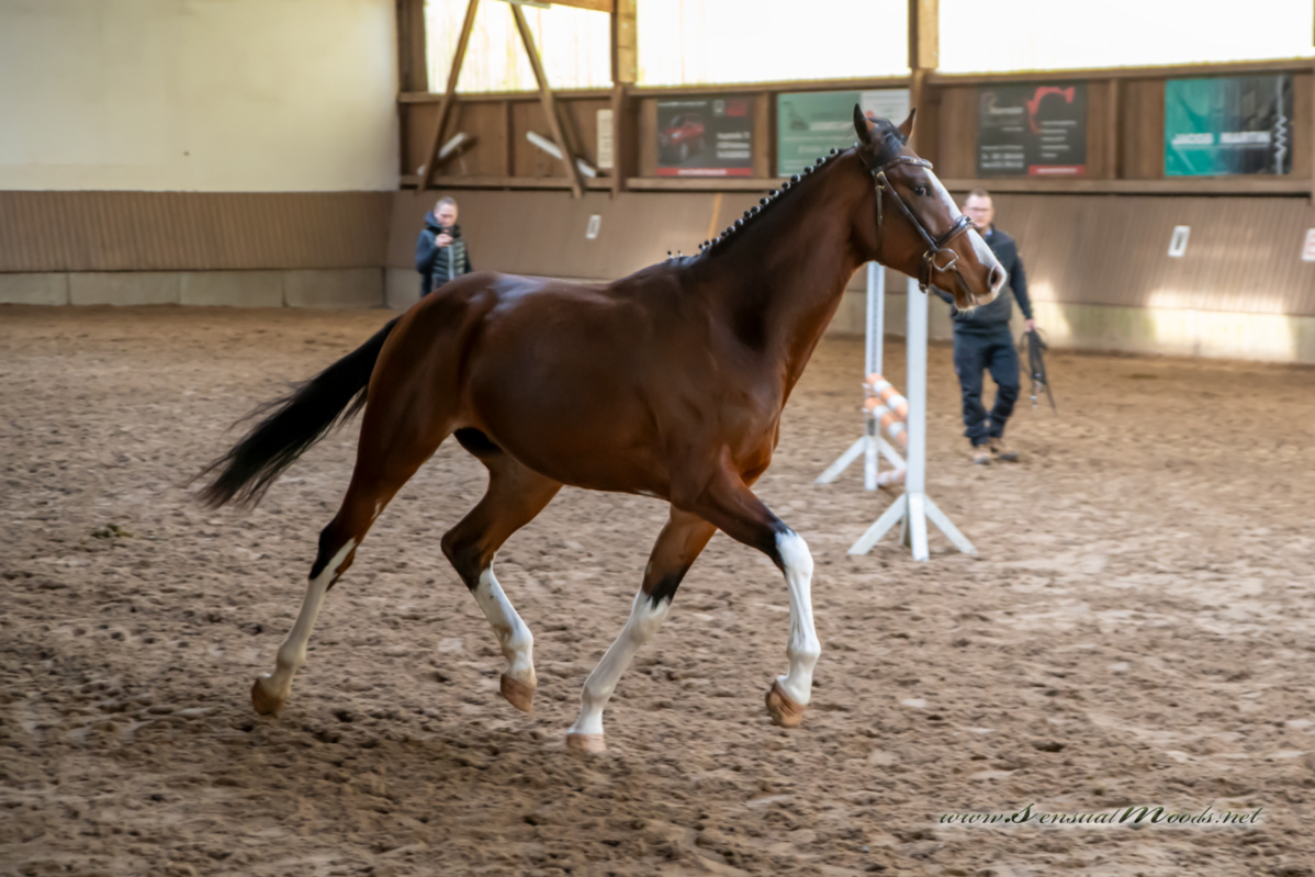 gk_20260308_0138-1_1800