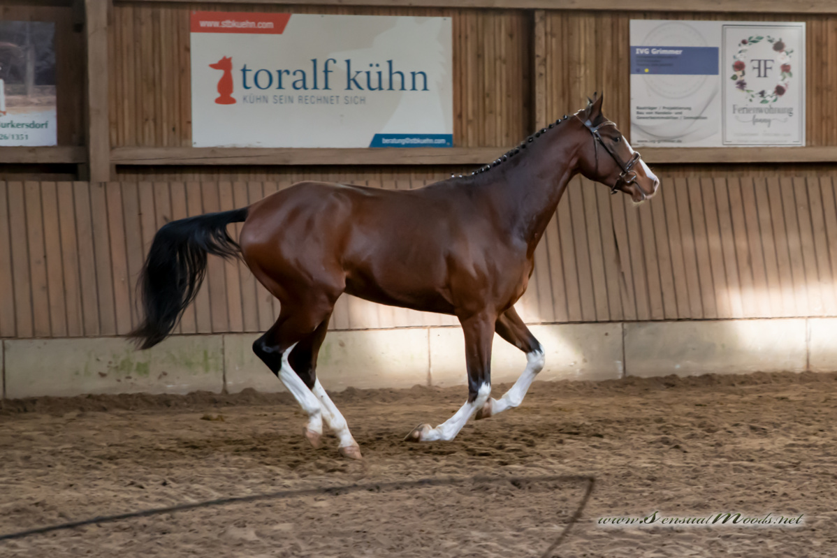 gk_20260308_0153-1_1800