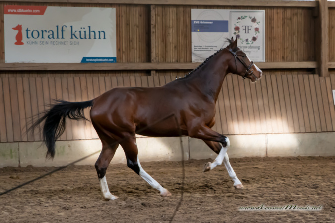 gk_20260308_0154-1_1800