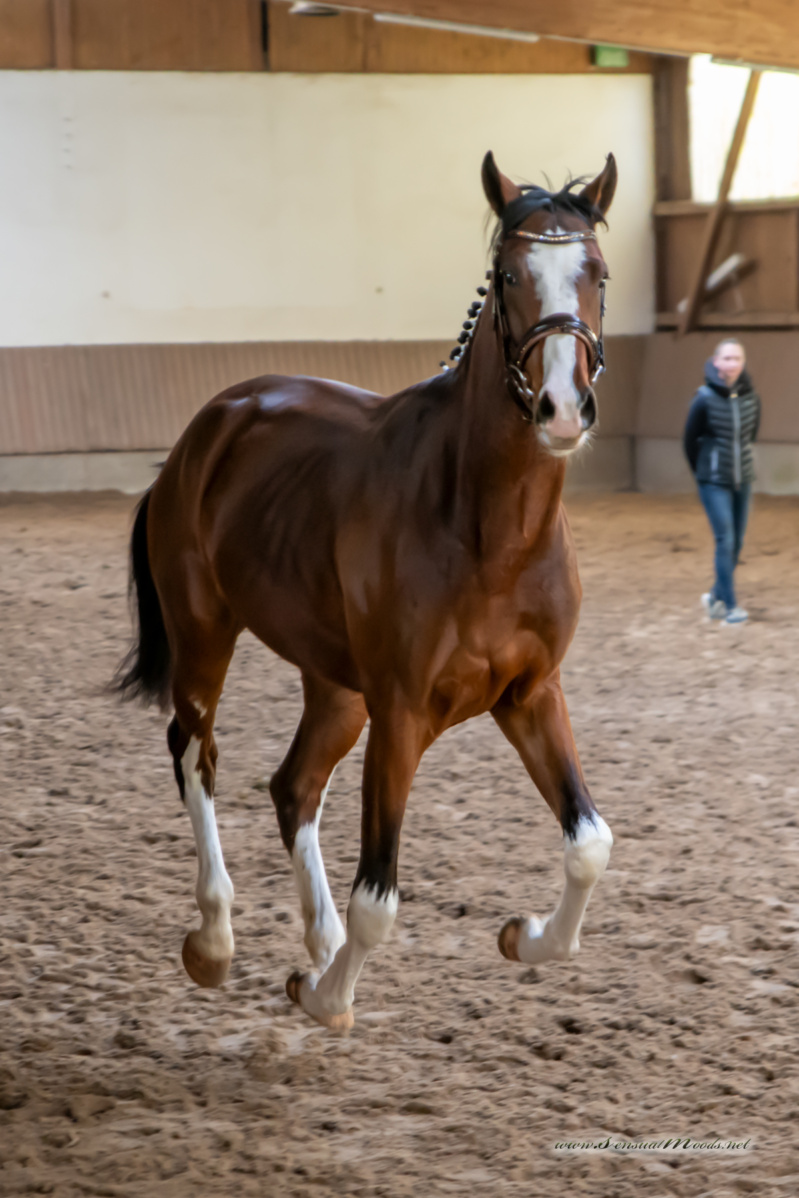 gk_20260308_0172-1_1800