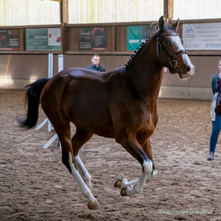 gk_20260308_0179-1_1800