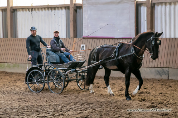 gk_20260308_0209-1_1800