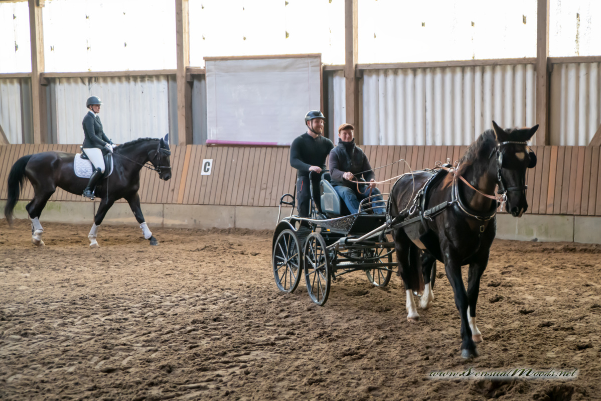 gk_20260308_0212-1_1800