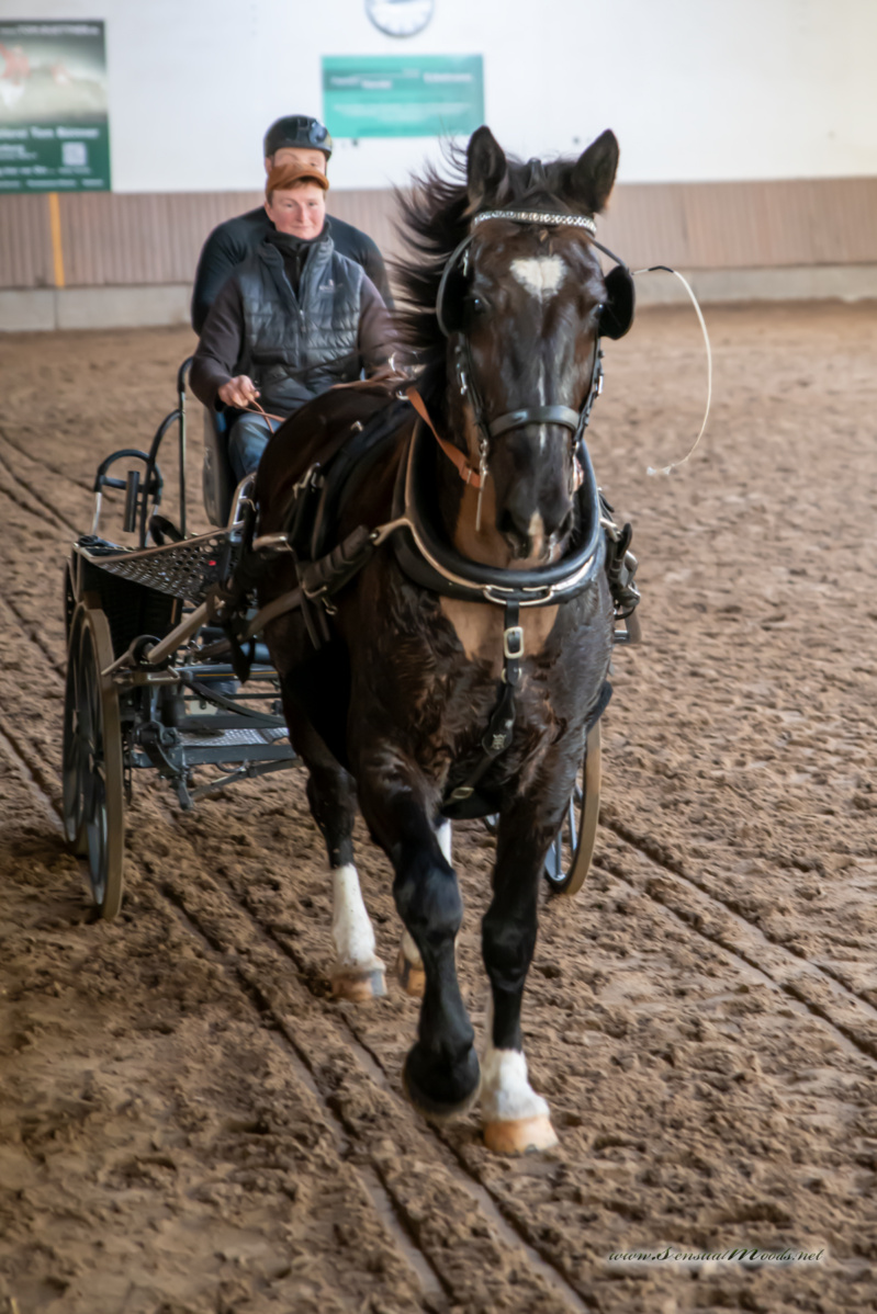 gk_20260308_0226-1_1800