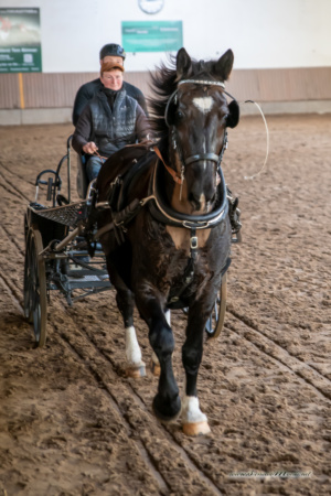 gk_20260308_0226-1_1800