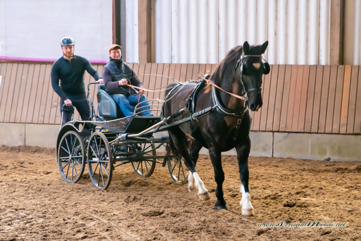 gk_20260308_0228-1_1800