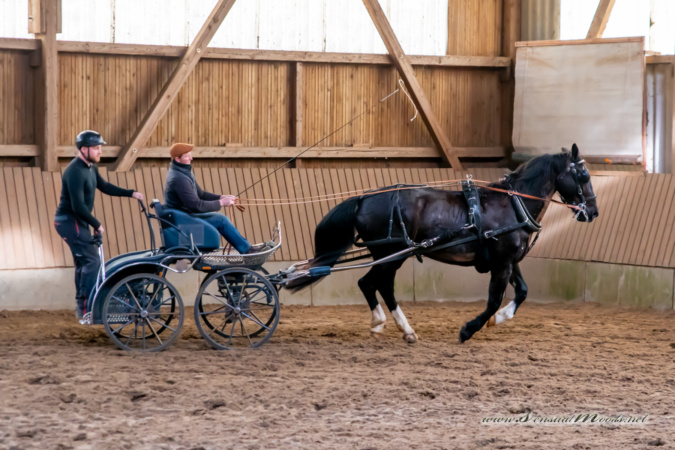 gk_20260308_0258-1_1800