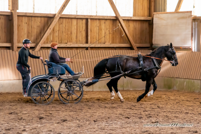 gk_20260308_0258-2_1800