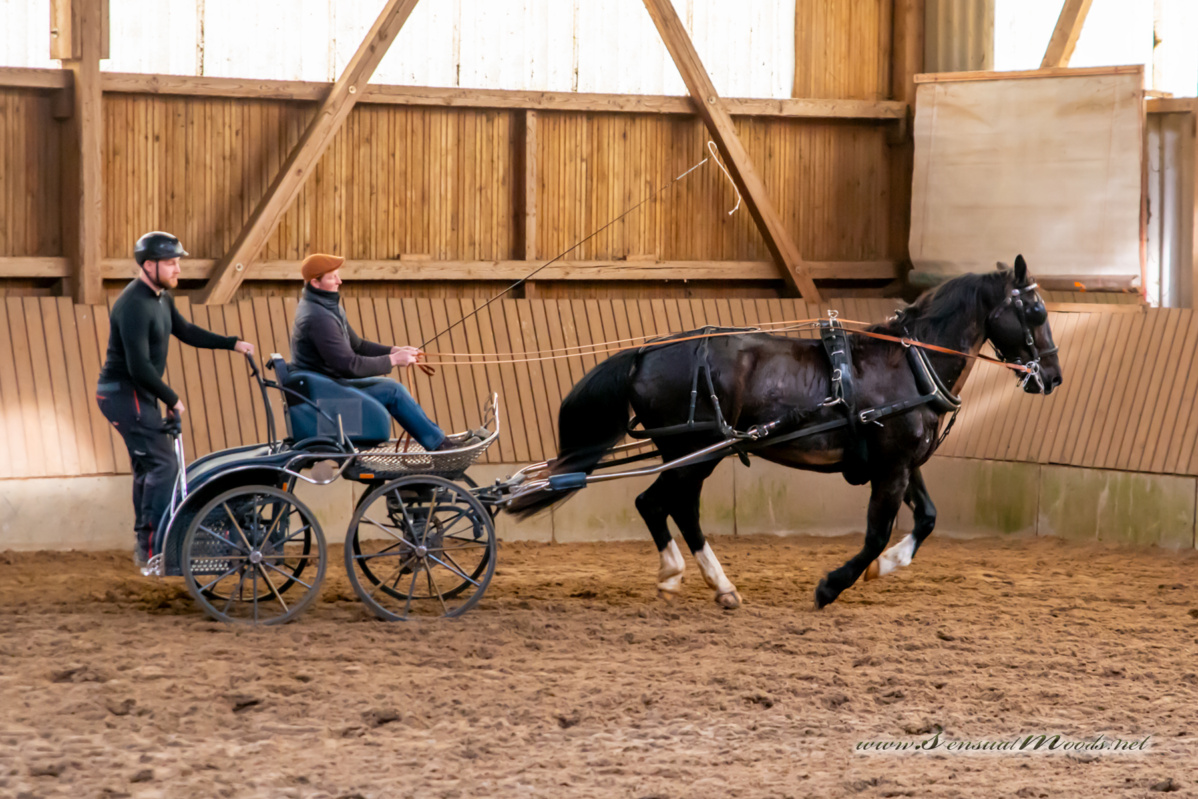 gk_20260308_0258-2_1800