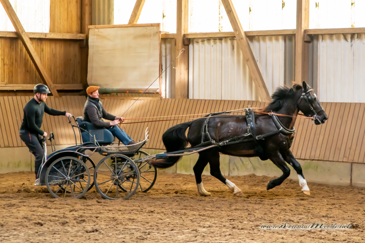 gk_20260308_0259-1_1800