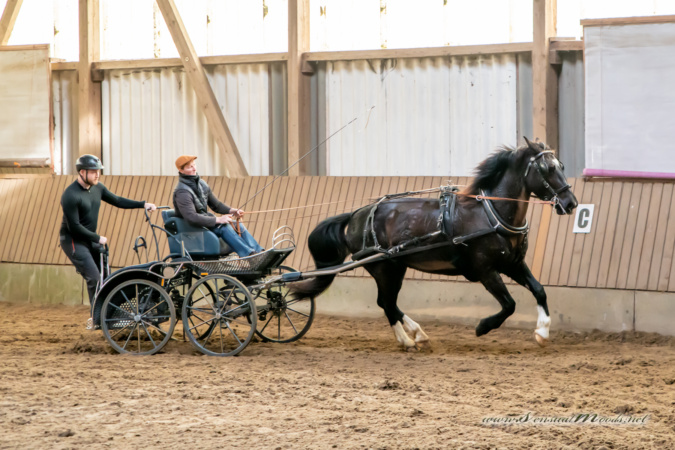 gk_20260308_0261-1_1800