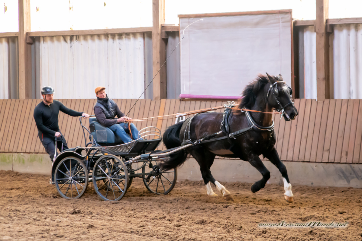 gk_20260308_0262-1_1800