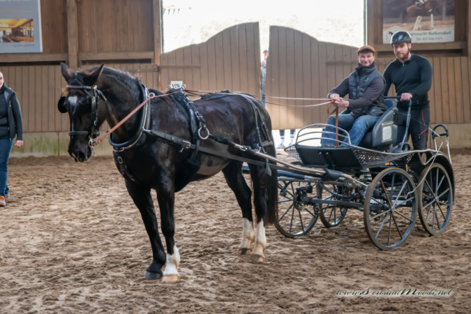 gk_20260308_0276-1_1800