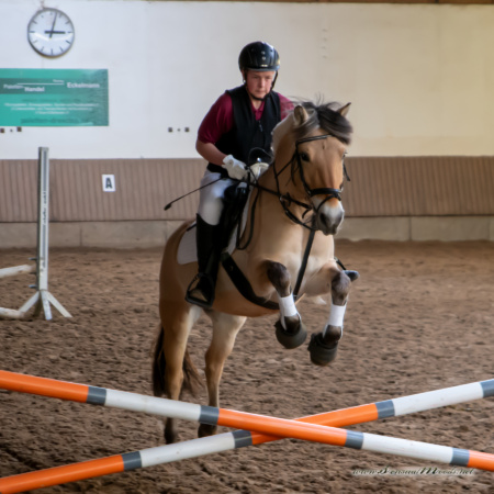 gk_20260308_0285-1_1800