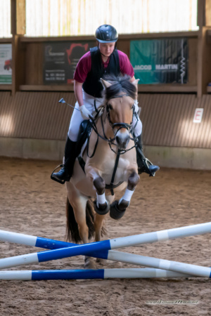 gk_20260308_0293-1_1800