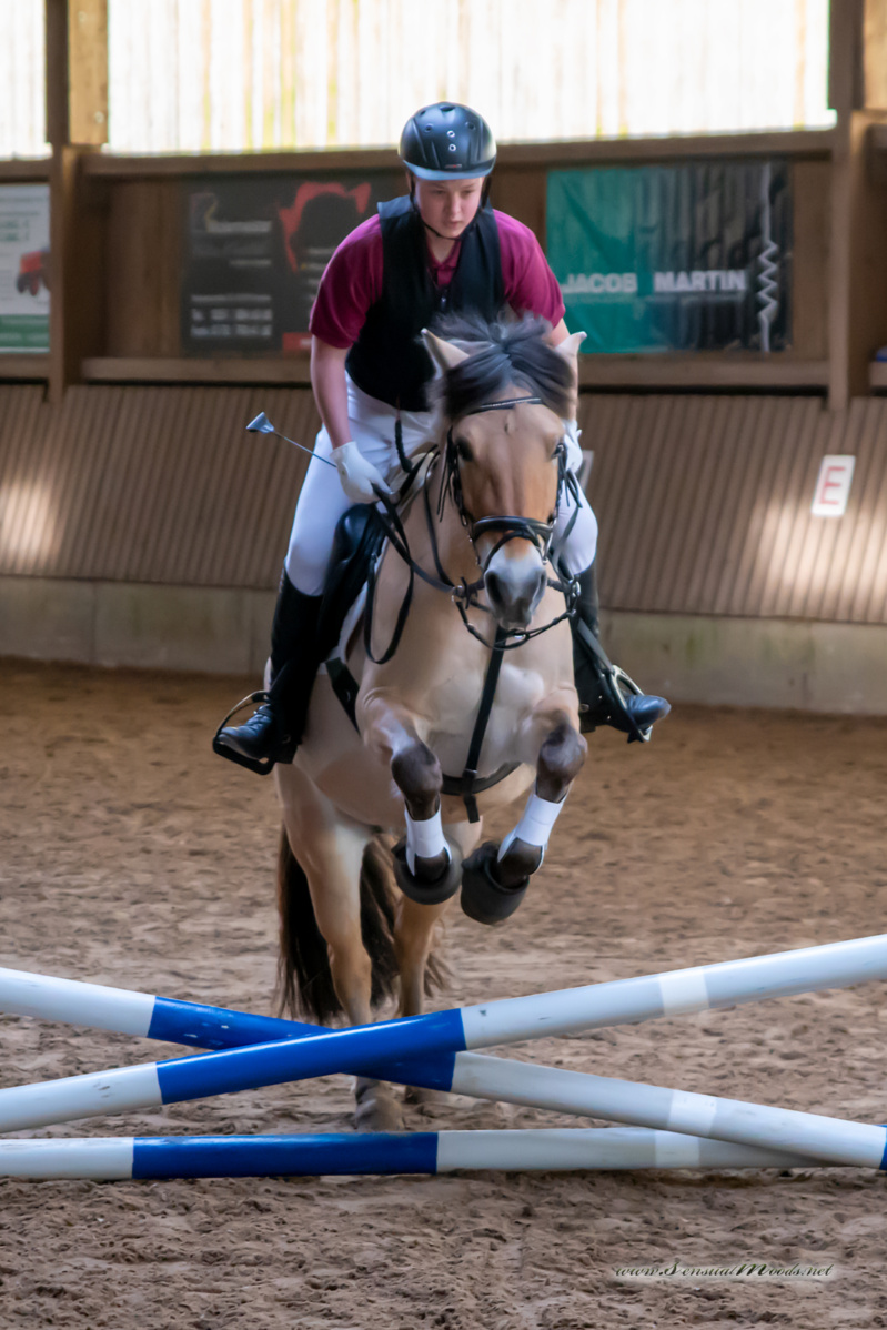 gk_20260308_0293-1_1800