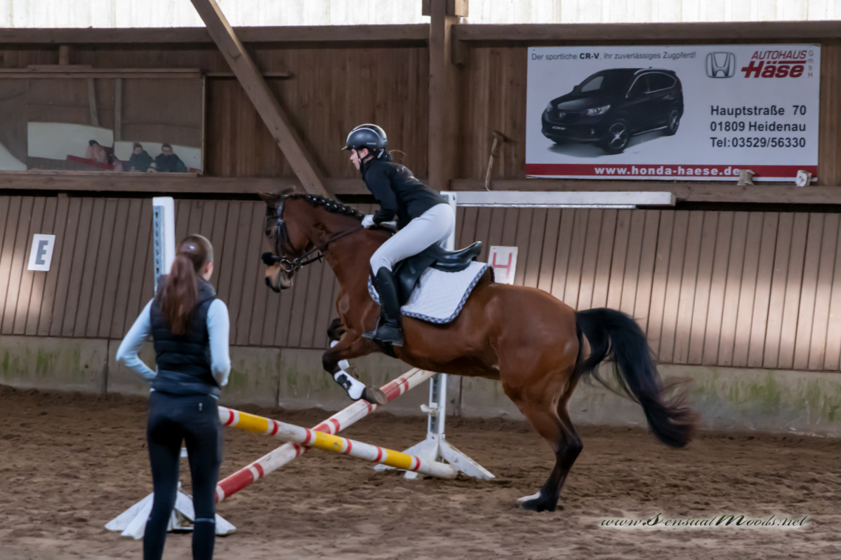 gk_20260308_0309-1_1800