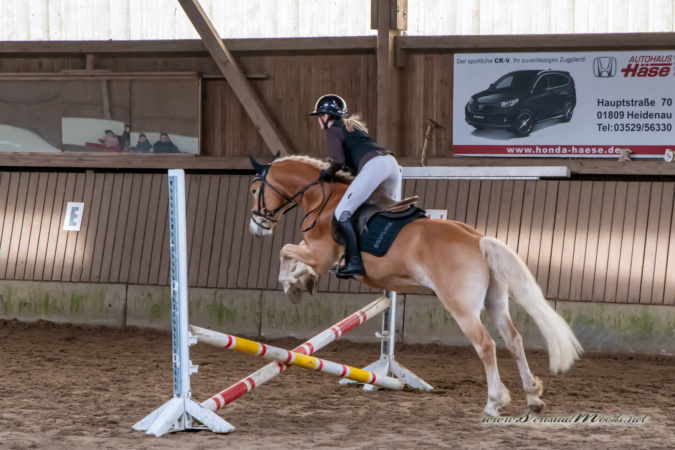 gk_20260308_0324-1_1800