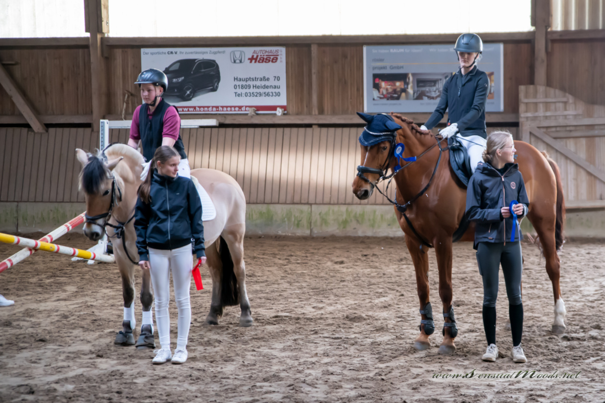 gk_20260308_0375-1_1800