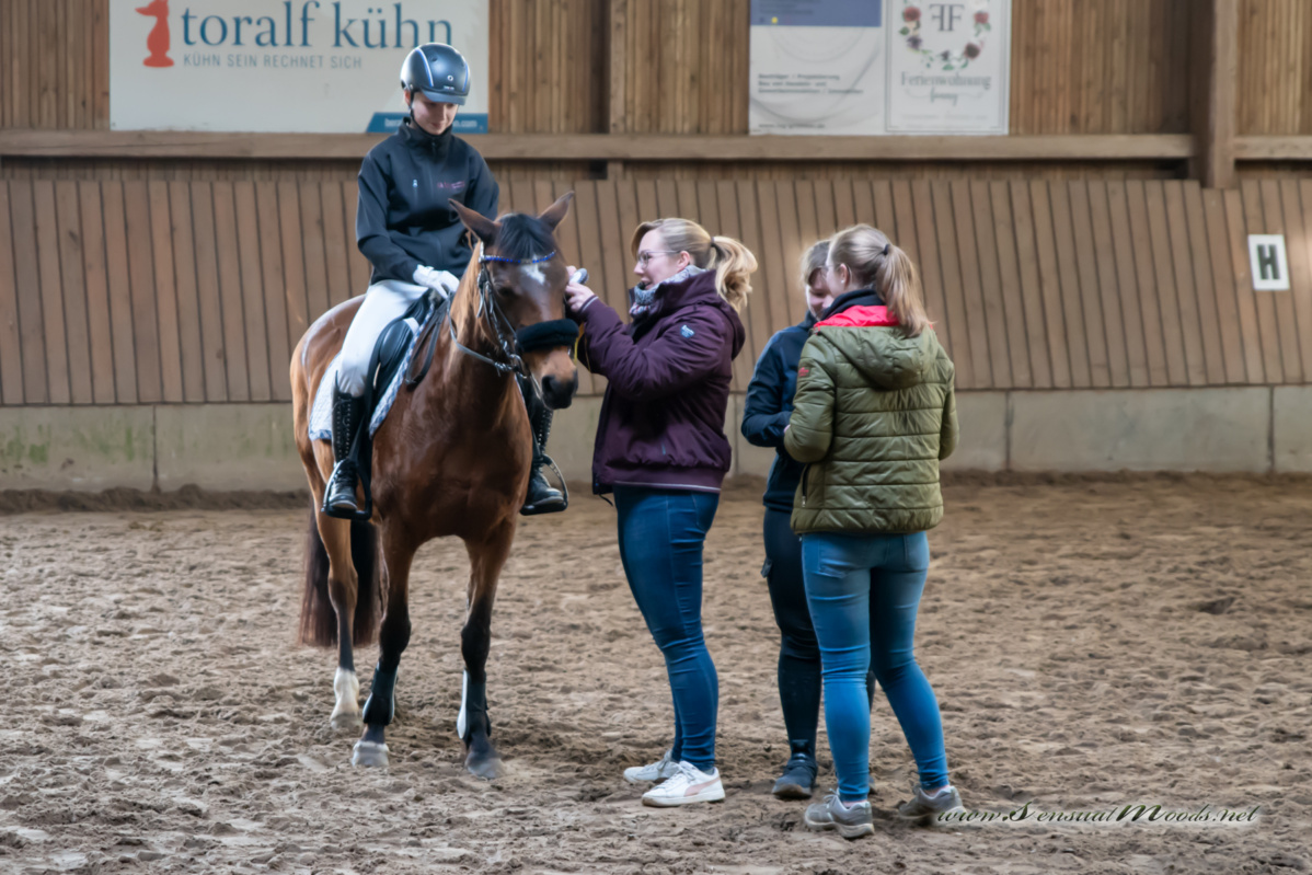 gk_20260308_0378-1_1800