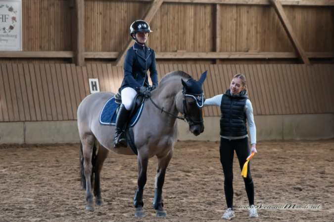 gk_20260308_0381-1_1800