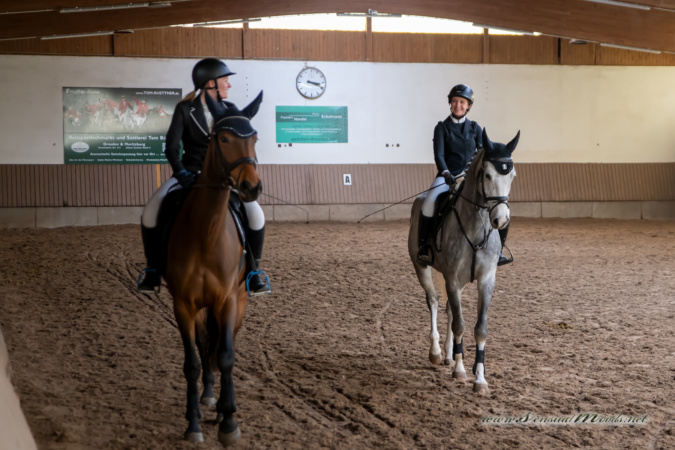 gk_20260308_0386-1_1800