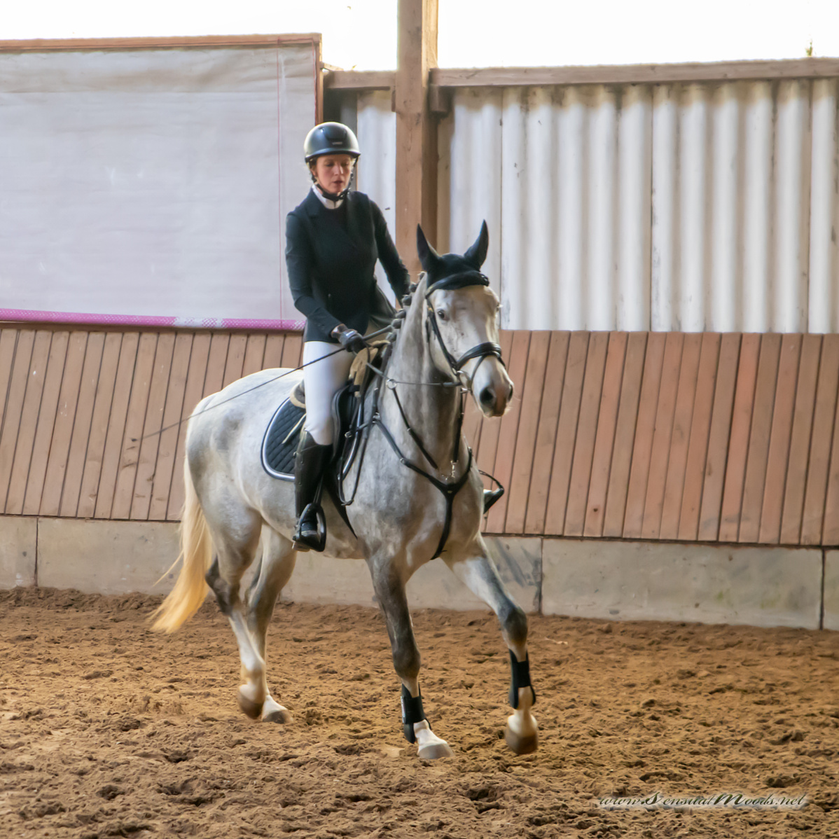 gk_20260308_0389-1_1800