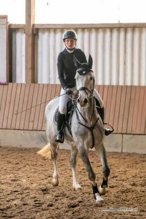 gk_20260308_0391-1_1800