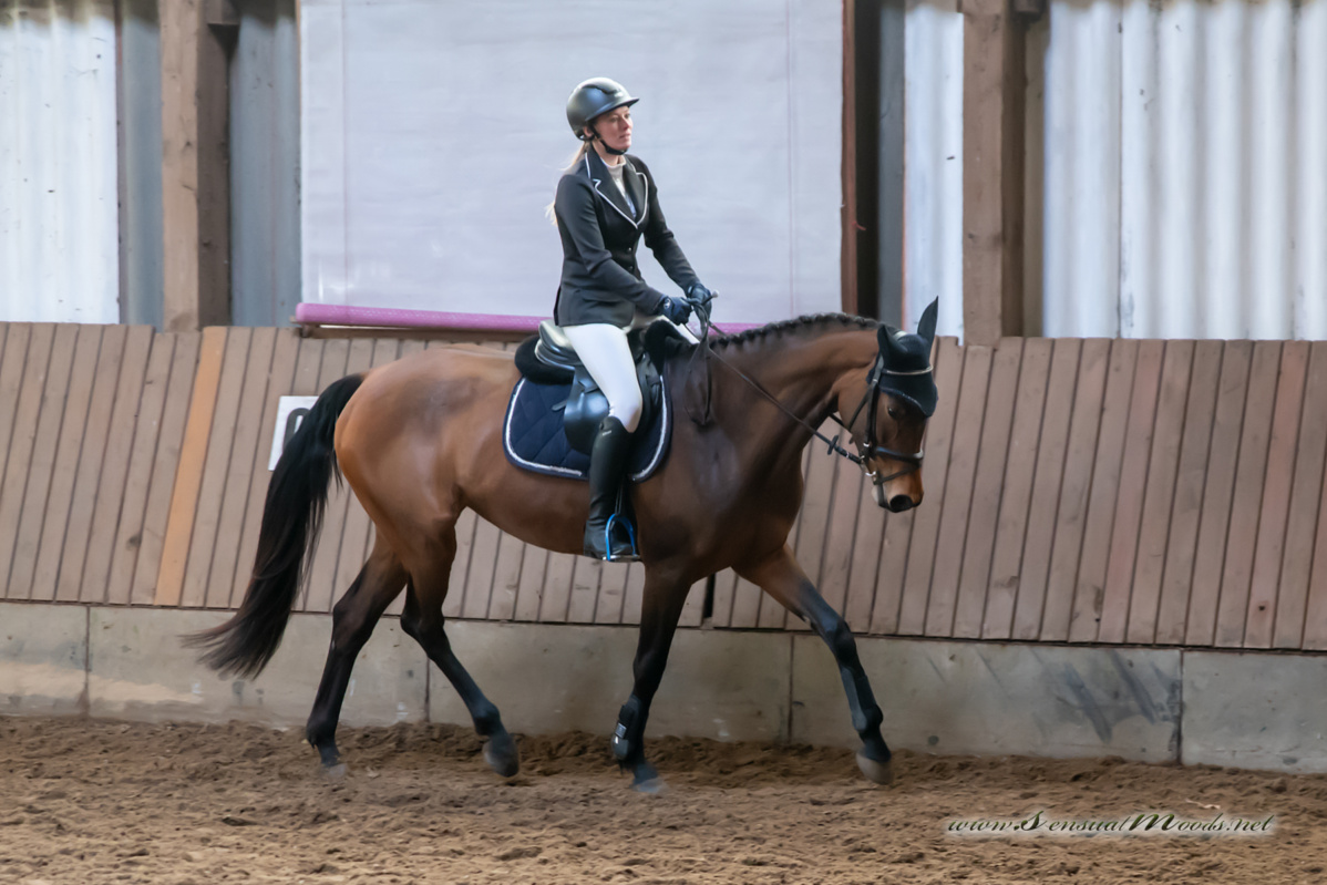 gk_20260308_0393-1_1800