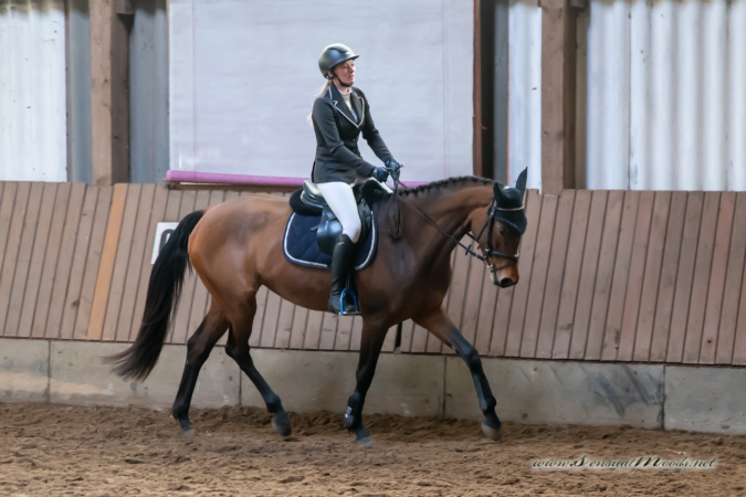 gk_20260308_0393-1_1800