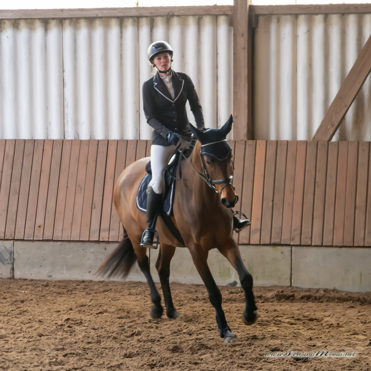 gk_20260308_0394-1_1800