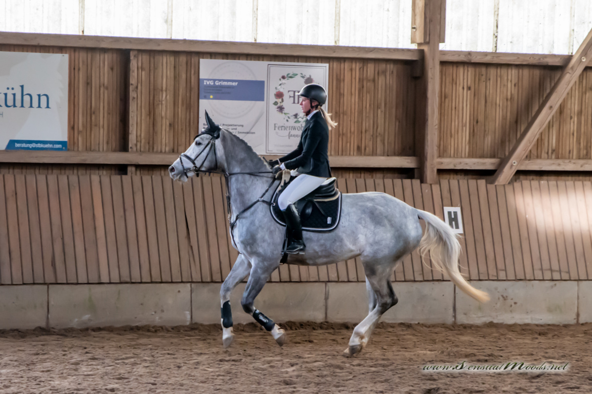 gk_20260308_0396-1_1800