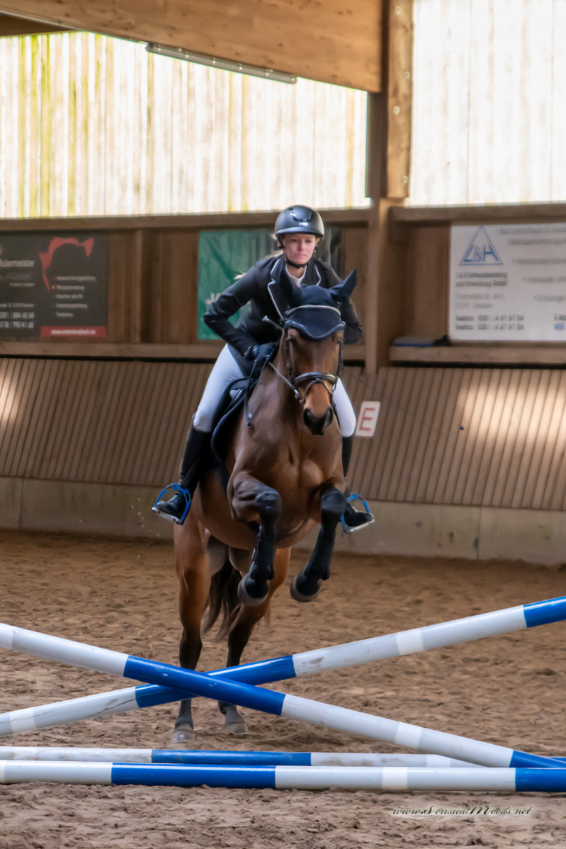 gk_20260308_0404-1_1800