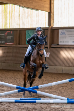 gk_20260308_0404-1_1800