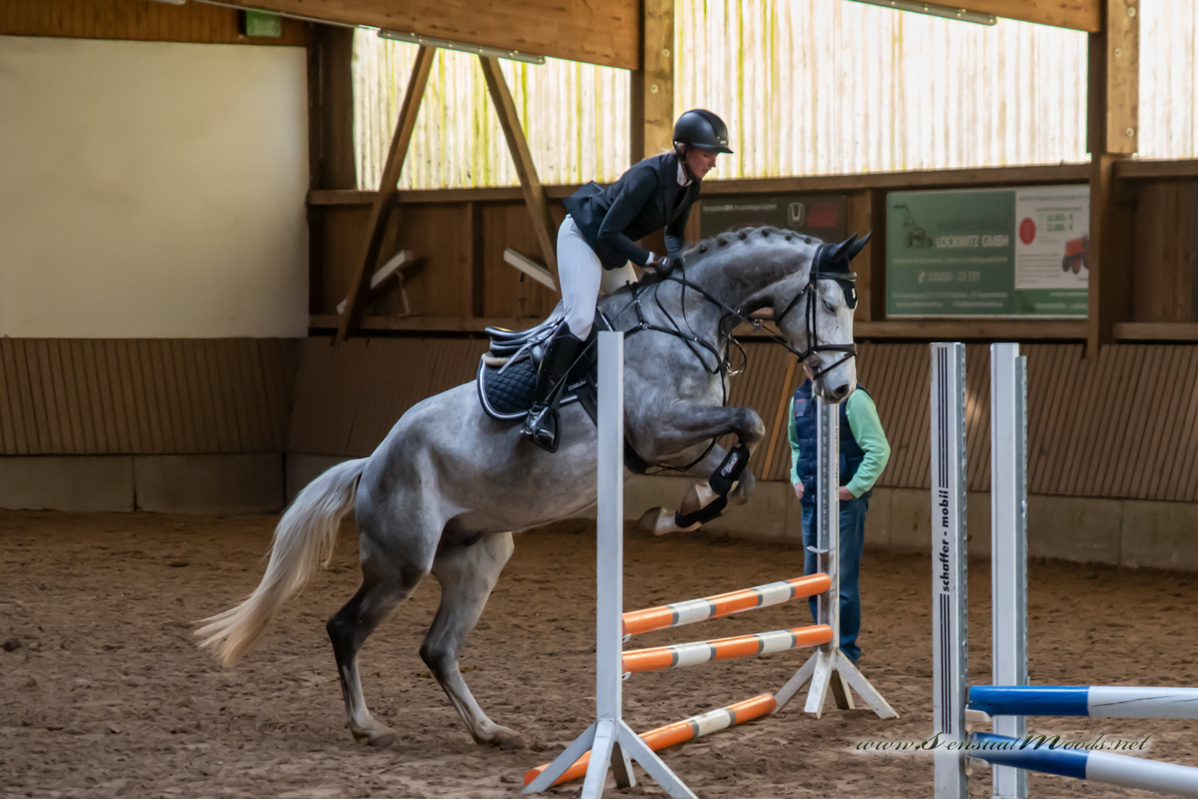 gk_20260308_0440-1_1800