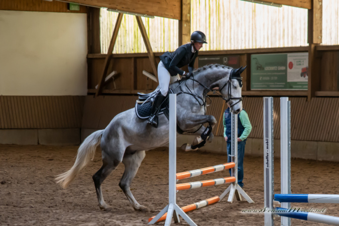 gk_20260308_0440-1_1800