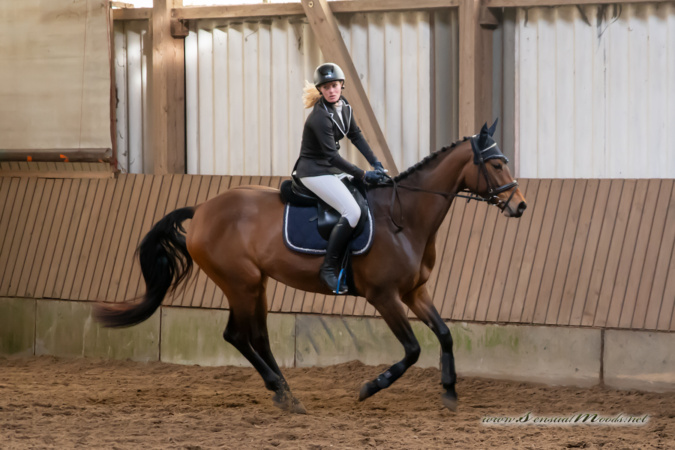 gk_20260308_0467-1_1800