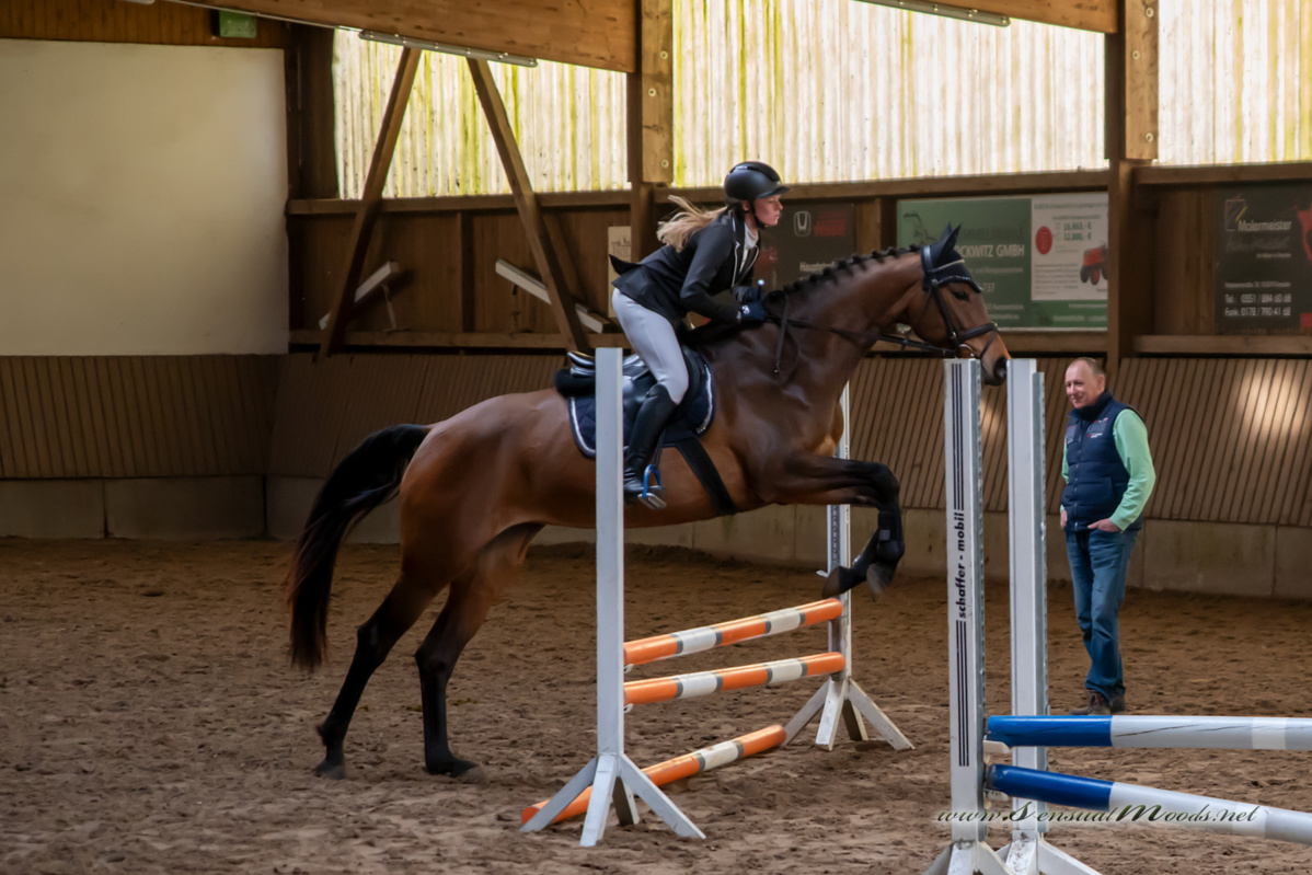 gk_20260308_0470-1_1800