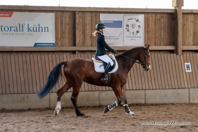 gk_20260308_0489-1_1800