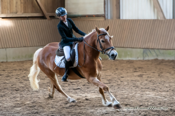 gk_20260308_0563-1_1800