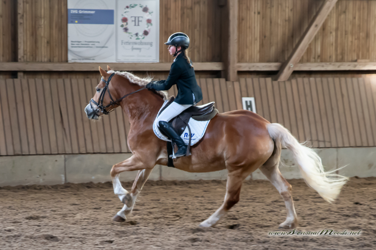 gk_20260308_0603-1_1800