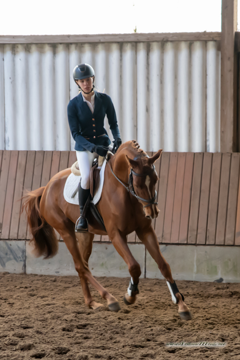 gk_20260308_0675-1_1800